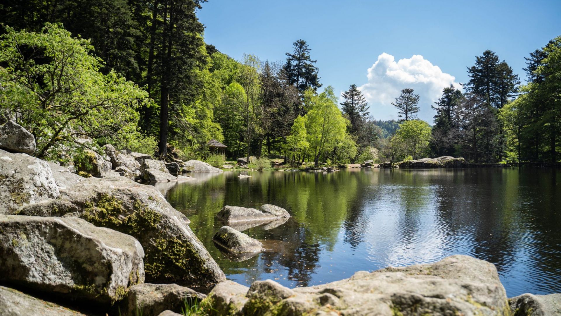 lac 2